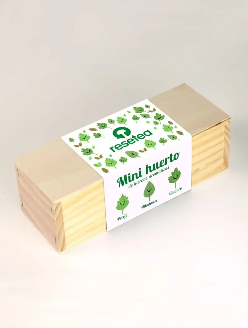 Mini huerto de plantas aromáticas