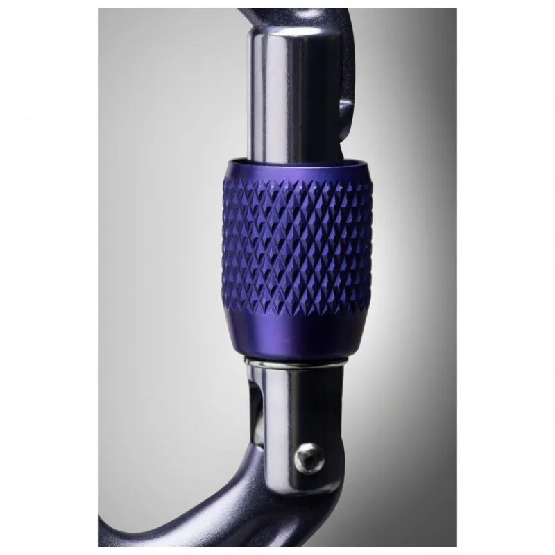 Mosquetón Black Diamond Mosquetón Liteforge Screwgate (Gris)