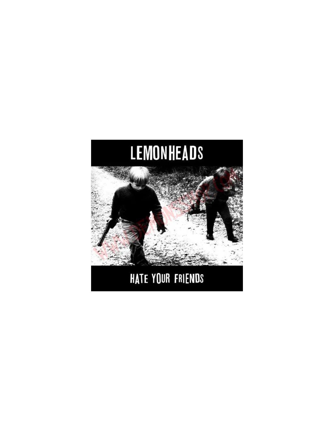 Vinilo LP The Lemonheads – Hate Your Friends