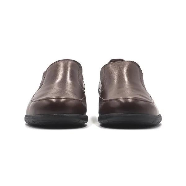 Zapatos Fluchos 8499 Castaño Hombre