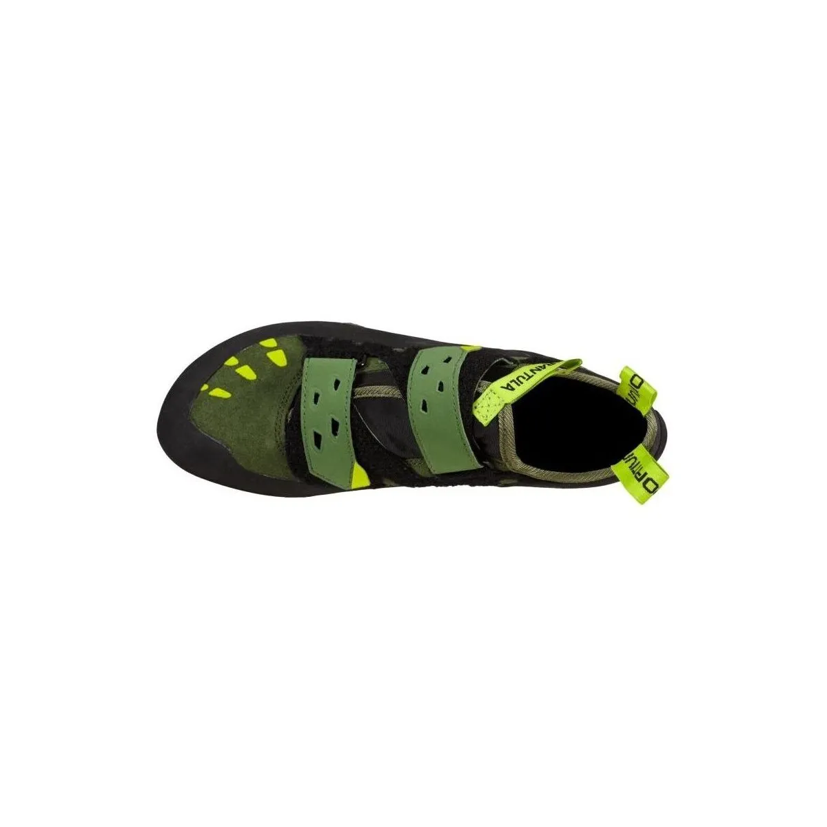 Zapatos Tarantula Olive/Neon